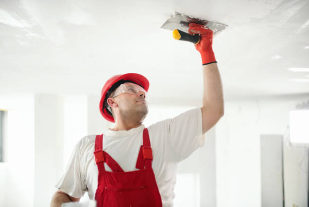 Best Environmental Consulting for Mold Prevention  in Valparaiso, FL